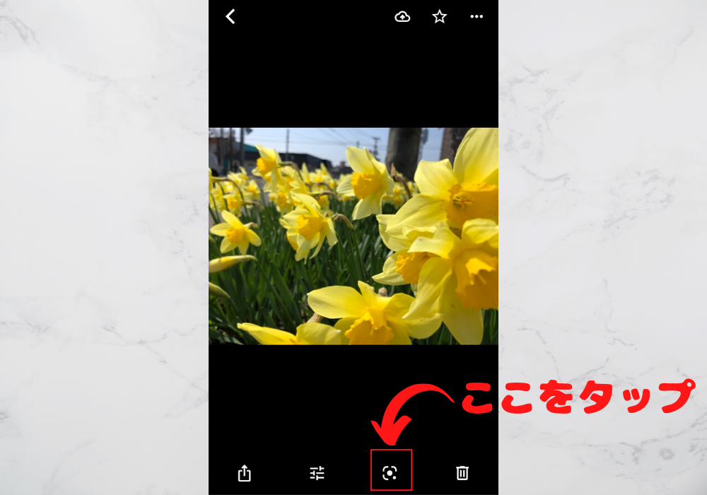 花の名前を調べるiphoneアプリ Googleレンズの使い方 札幌ライフログ
