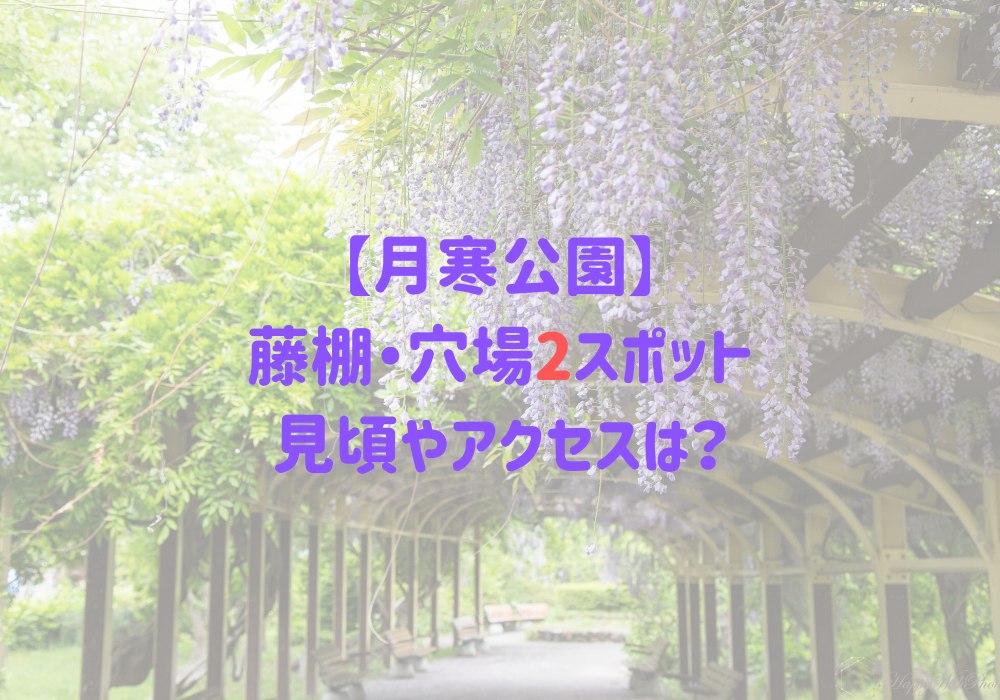 月寒公園には藤棚が2ヶ所も楽しめる穴場スポット 見頃はいつ 札幌ライフログ